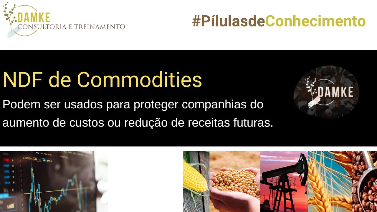 Read more about the article Pílulas de Conhecimento sobre Hedge e Derivativos: NDF de Commodities