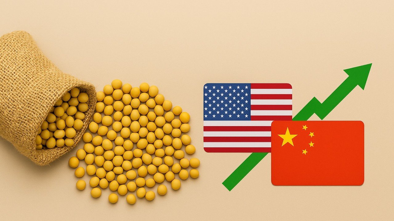 Read more about the article Soja: Oportunidades e Desafios nas Negociações EUA-China e o Papel do Brasil em 2026